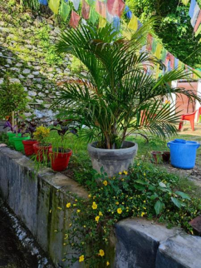 Nature Villa